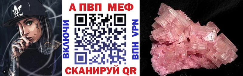A PVP СК Ардатов
