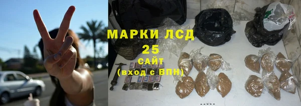 стаф Осташков