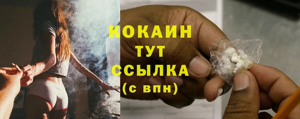 стаф Осташков