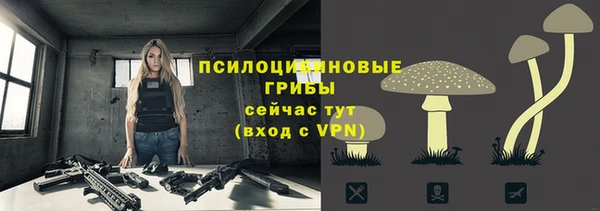дмт Усолье-Сибирское