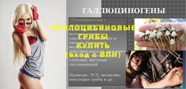 стаф Осташков